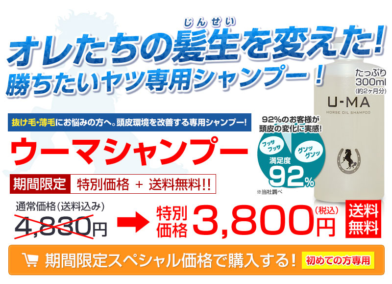 �����ֶ��ݾڥ����ڡ���»��桪