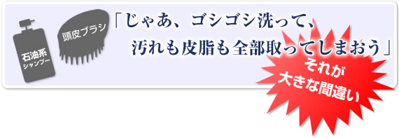 ｢じゃあ、ゴシゴシ洗って、汚れも皮脂も全部取ってしまおう｣