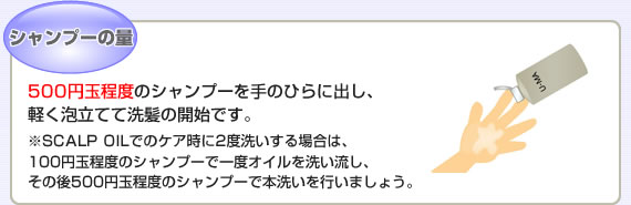 シャンプーの量