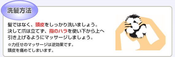 洗髪方法