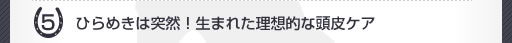 �Ҥ�᤭�����������ޤ줿����Ū��Ƭ�饱��