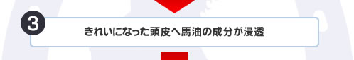 ���줤�ˤʤä�Ƭ�����������ʬ����Ʃ
