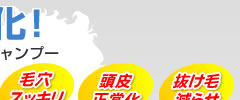 �I�g�R�̓���� ���퉻�I