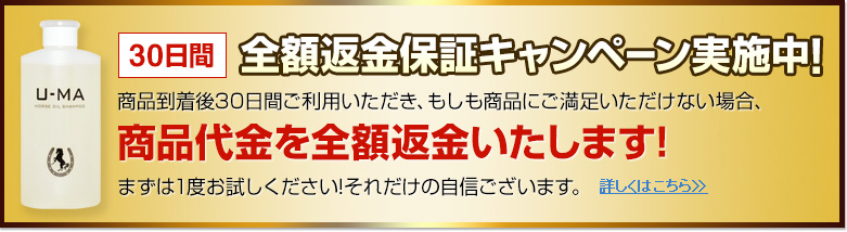 �����ֶ��ݾڥ����ڡ���»��桪