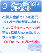 (3)�����ޥݥ���ȥץ쥼���