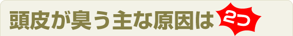 Ƭ�餬������ʸ�����2��