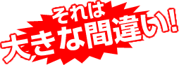 ������礭�ʴְ㤤��