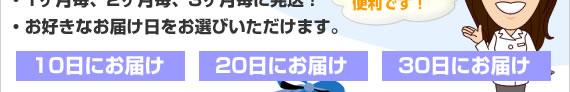 ���磱�����������������������