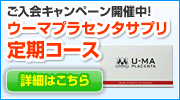 ���֤����ʤ���ʸ��ˡ�������ޥץ饻�󥿥��ץꡡ���������