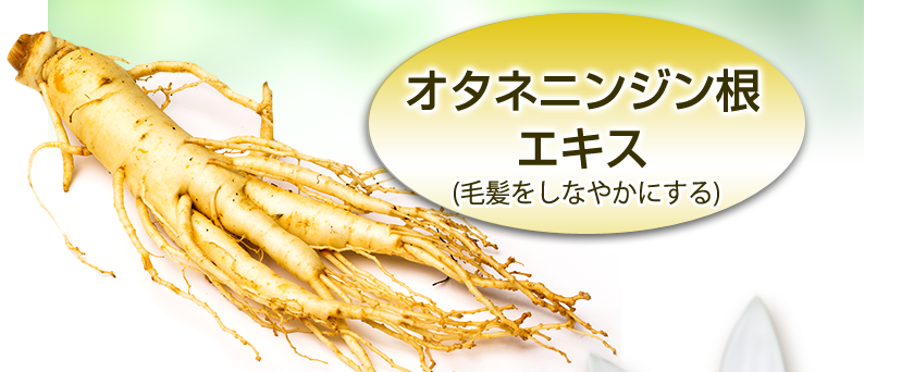 オタネニンジン根エキス