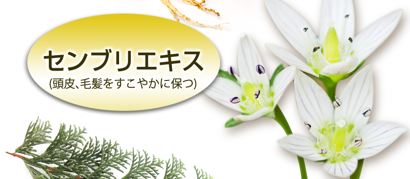 センブリエキス
