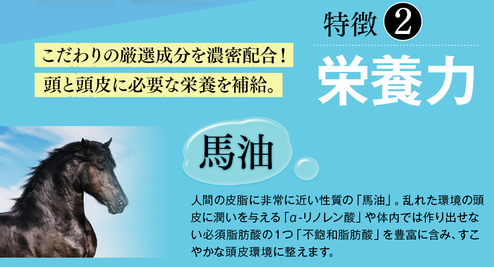 特徴2 栄養力　こだわりの厳選成分を濃密配合！頭と頭皮に必要な栄養を補給。馬油