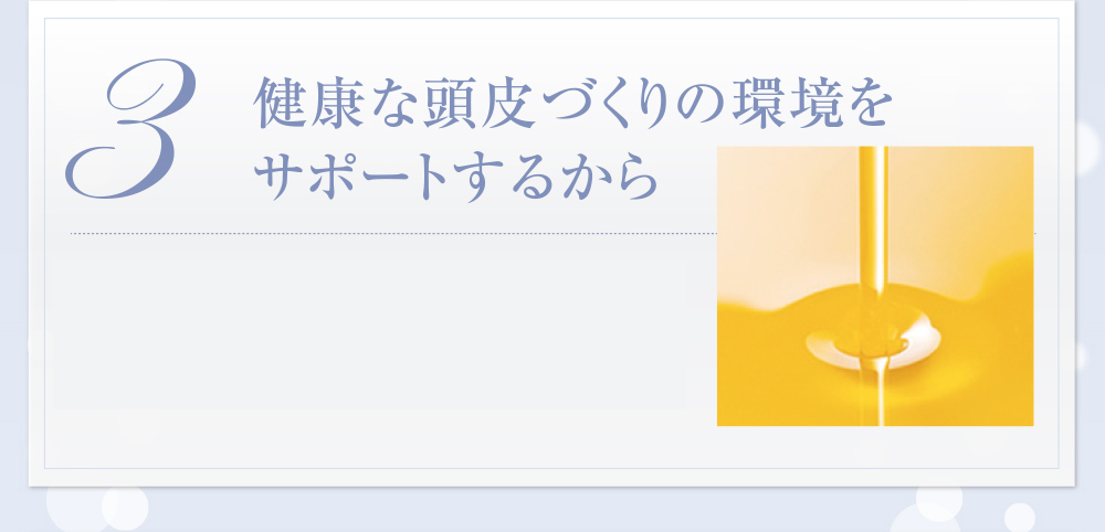 3 健康な頭皮づくりの環境をサポートするから