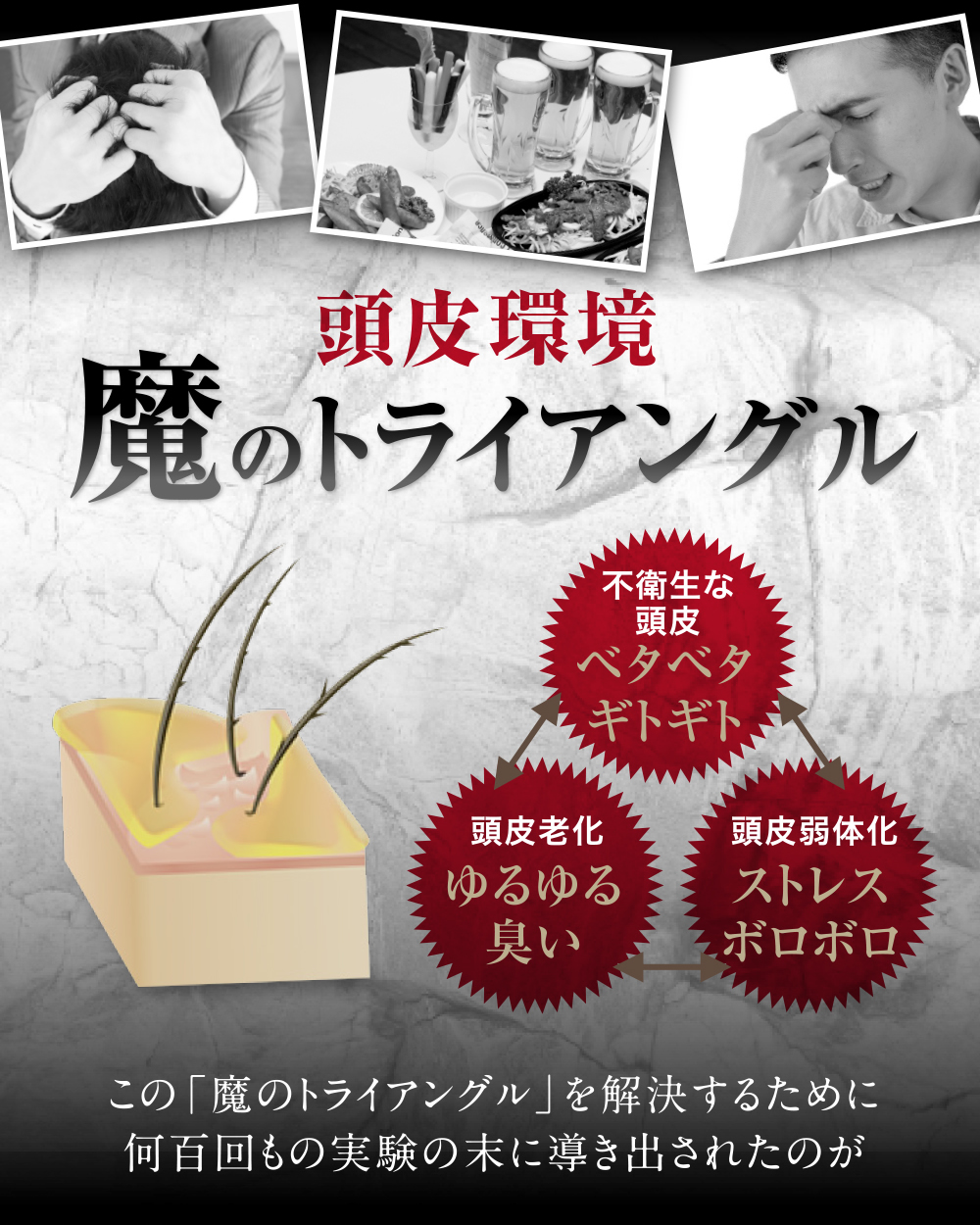 頭皮環境 魔のトライアングル この「魔のトライアングル」を解決するために何百回もの実験の末に導き出されたのが