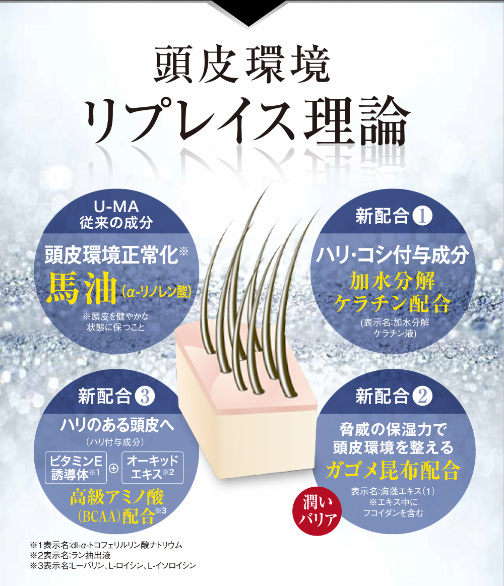 頭皮環境 リプレイス理論