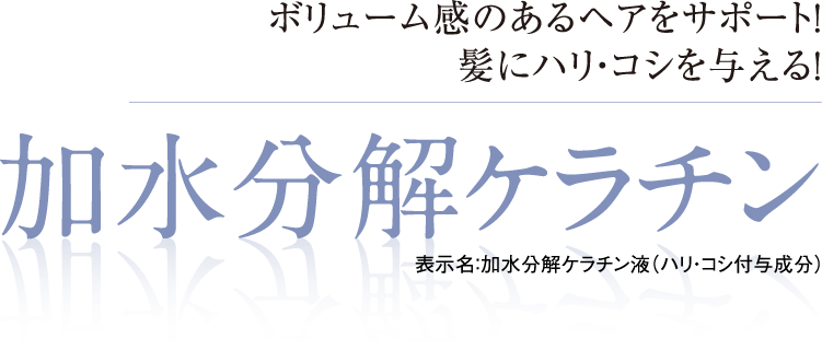 ボリューム感のあるヘアをサポート!髪にハリ・コシを与える！加水分解ケラチン