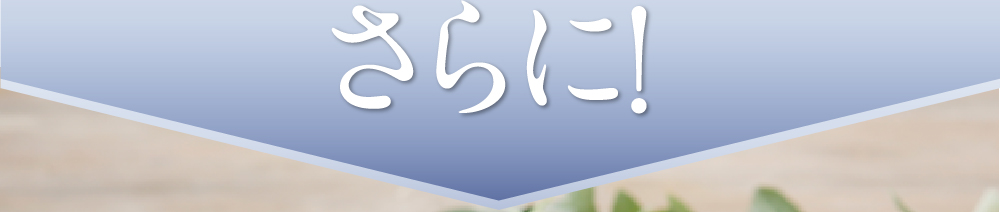 さらに！