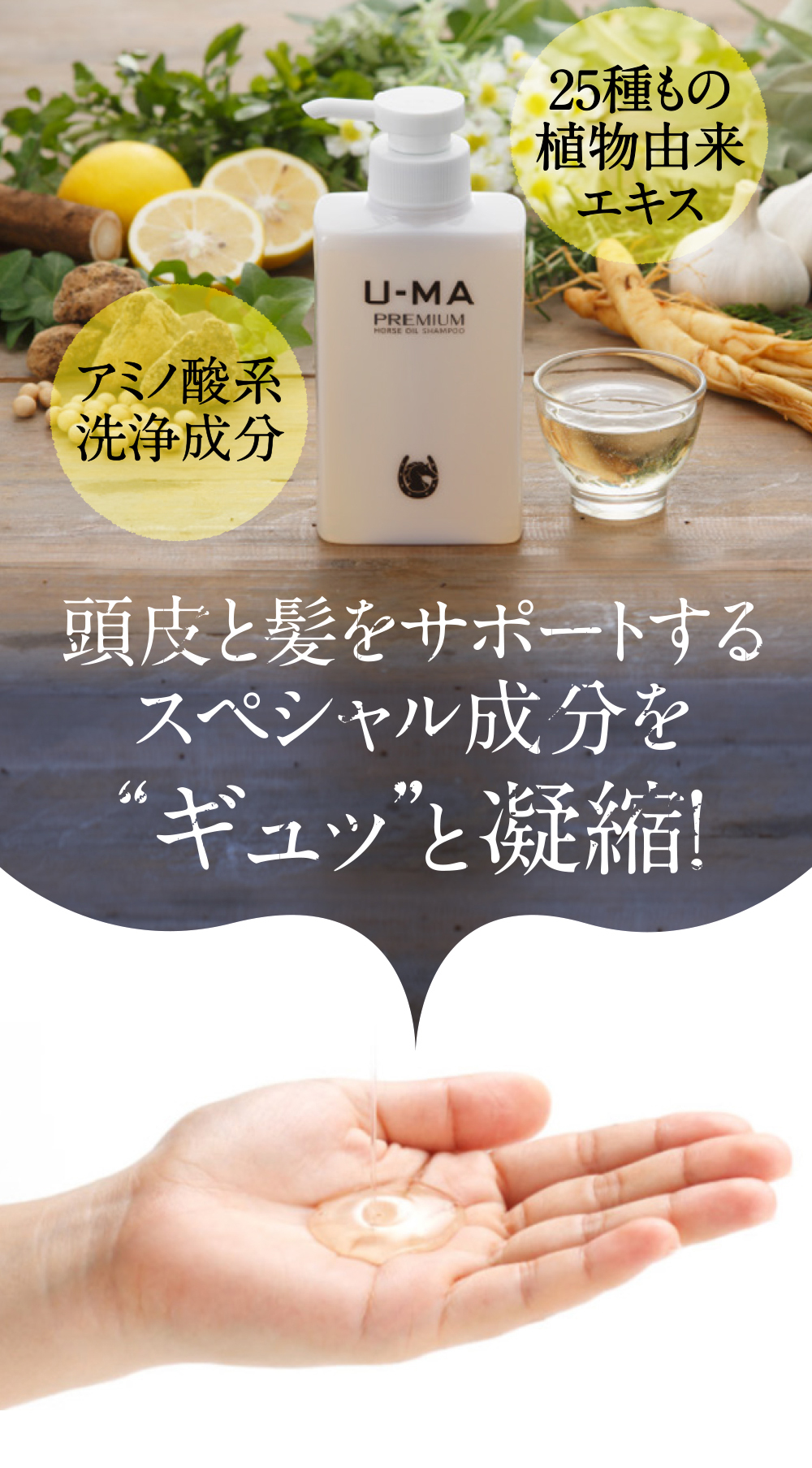 頭皮と髪をサポートするスペシャル成分を“ギュッ”と凝縮！