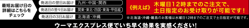 最短お届け日の詳細はこちらをチェック