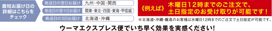 最短お届け日の詳細はこちらをチェック