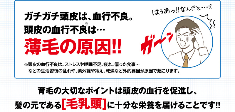 ガチガチ頭皮は、血行不良。頭皮の血行不良は…薄毛の原因！！