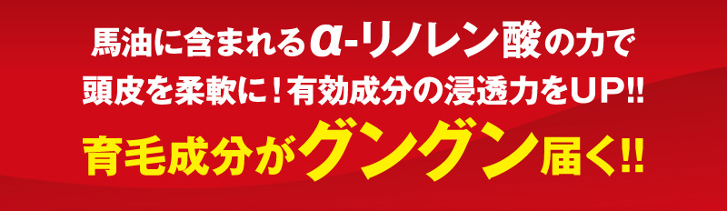 馬油に含まれるα-リノレン酸の力で頭皮を柔軟に！有効成分の浸透力をUP！！育毛成分がグングン届く！！