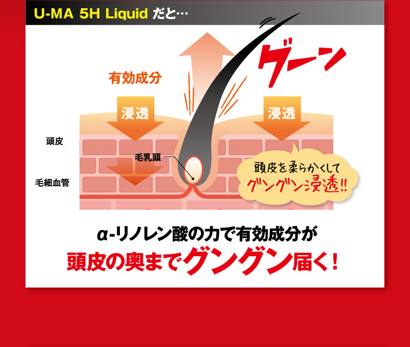 U-MA 5H Liquidだと…α-リノレン酸の力で有効成分が頭皮の奥までグングン届く！
