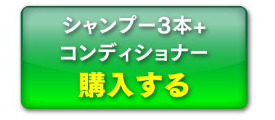 シャンプー3本+コンディショナー購入する