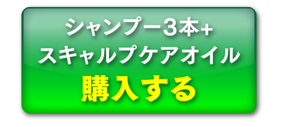 シャンプー3本+スキャルプケアオイル購入する