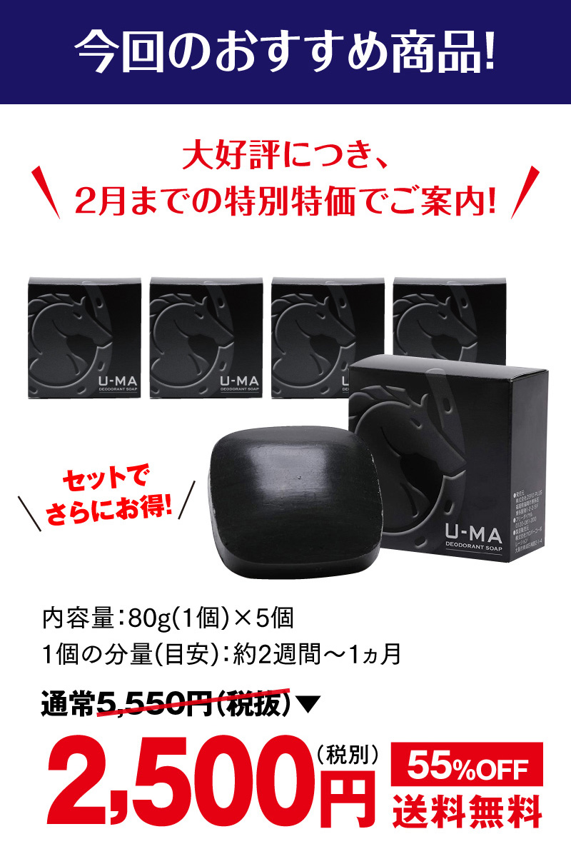 今回のおすすめ商品！