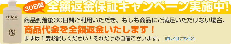 ֶݾڥڡ»桪