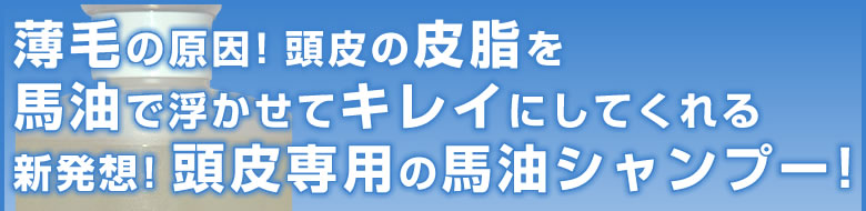 ӤθƬ⤫ƥ쥤ˤƤ뿷ȯۡƬѤס