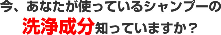 ʤȤäƤ륷סʬΤäƤޤ