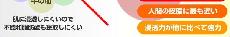 ȩ˿ƩˤΤ˰»ûݼ褷ˤ