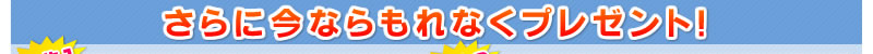 ˺ʤʤץ쥼ȡ