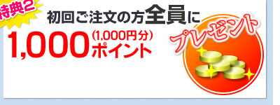 ʸ1,000ݥȥץ쥼