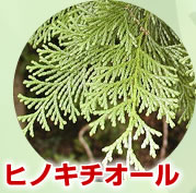 ҥΥ