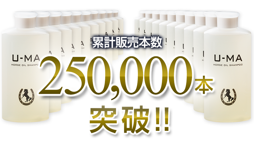 累計販売本数 250,000本突破！！