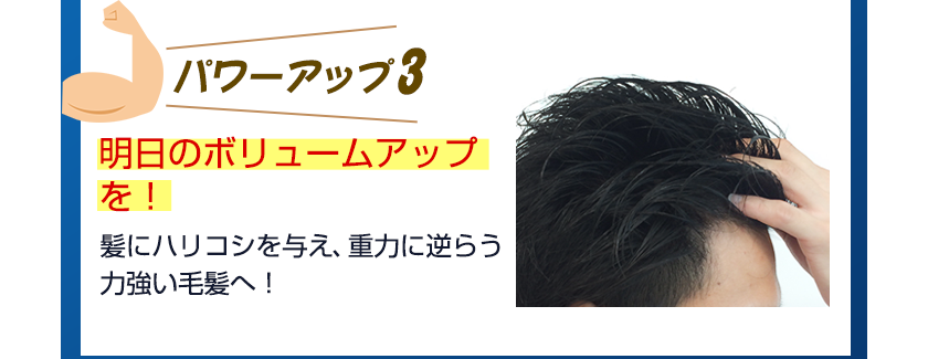 明日のボリュームアップを！髪にハリコシを与え、重力に逆らう力強い毛髪へ！