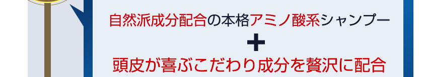 自然派成分配合の本格アミノ酸系シャンプー＋頭皮が喜ぶこだわり成分を贅沢に配合