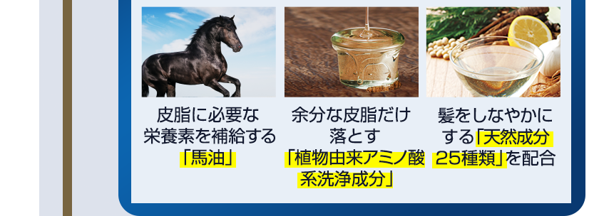 皮脂に必要な栄養素を補給する「馬油」/余分な皮脂だけ落とす「植物由来アミノ酸系洗浄成分」/髪をしなやかにする「天然成分25種類」を配合