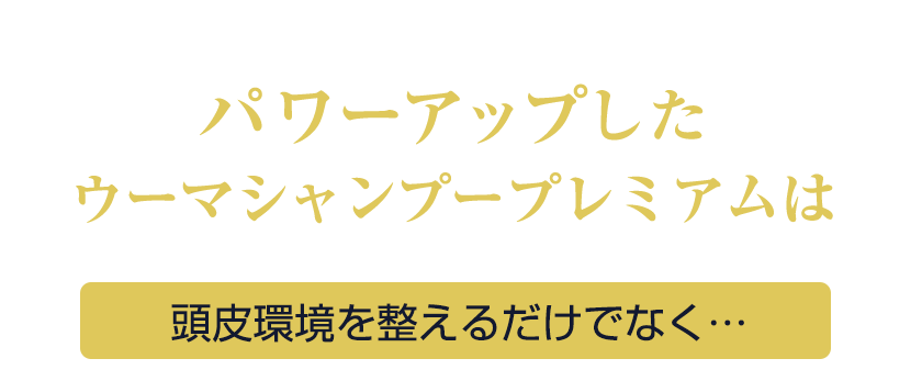 パワーアップしたウーマシャンプープレミアムは頭皮環境を整えるだけでなく…