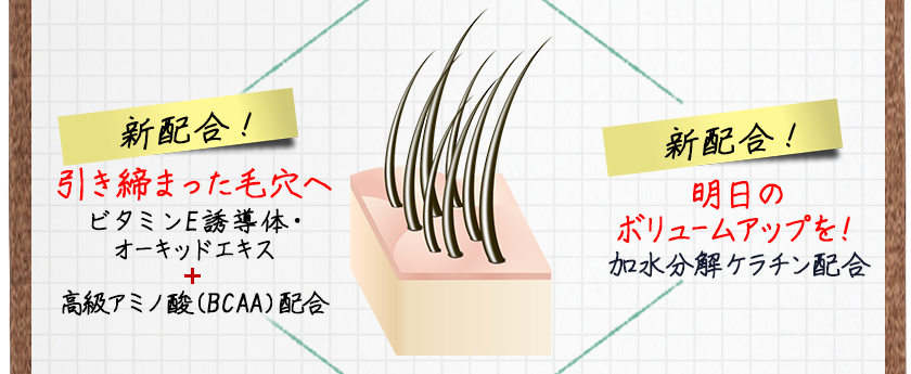 [新配合！]引き締まった毛穴へビタミンE誘導体・オーキッドエキス＋高級アミノ酸（BCAA）配合/明日のボリュームアップを！加水分解ケラチン配合