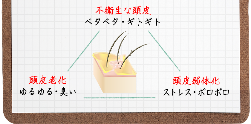 不衛生な頭皮ベタベタ・ギトギト⇔頭皮老化ゆるゆる・臭い⇔頭皮弱体化ストレス・ボロボロ