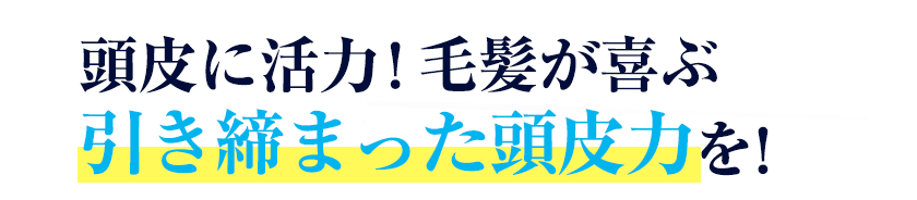 頭皮に活力！毛髪が喜ぶ引き締まった頭皮力を！