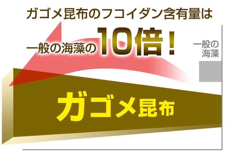 ガゴメ昆布のフコイダン含有量は一般の海藻の10倍！(図；一般の海藻とガゴメ昆布の比較)