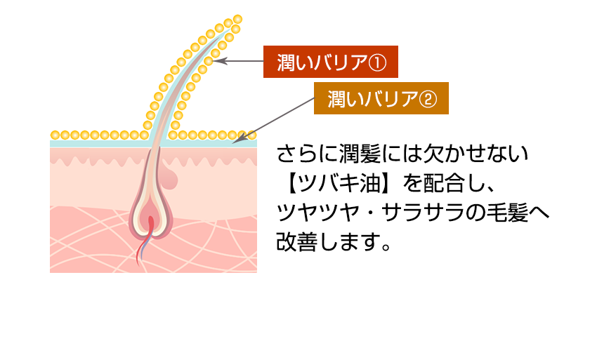 さらに潤髪には欠かせない【ツバキ油】を配合し、ツヤツヤ・サラサラの毛髪へ改善します。(図；潤いバリア)