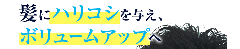 髪にハリコシを与え、ボリュームアップヘ