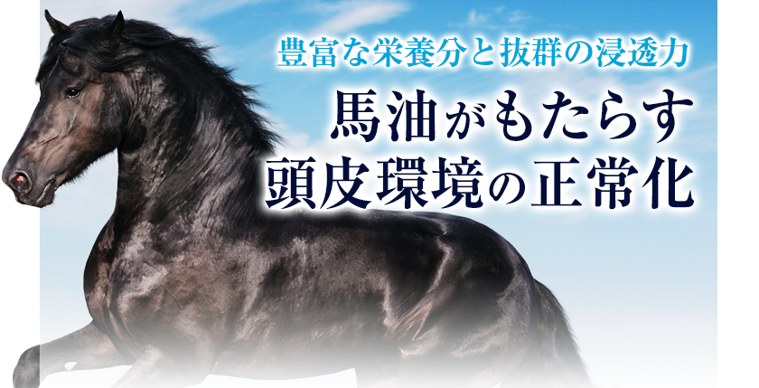 豊富な栄養分と抜群の浸透力　馬油がもたらす頭皮環境の正常化