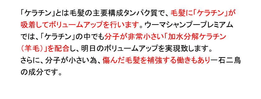 「ケラチン」とは毛髪の主要構成タンパク質で、毛髪に「ケラチン」が吸着してボリュームアップを行います。ウーマシャンプープレミアムでは、「ケラチン」の中でも分子が非常小さい「加水分解ケラチン（羊毛）」を配合し、明日のボリュームアップを実現致します。